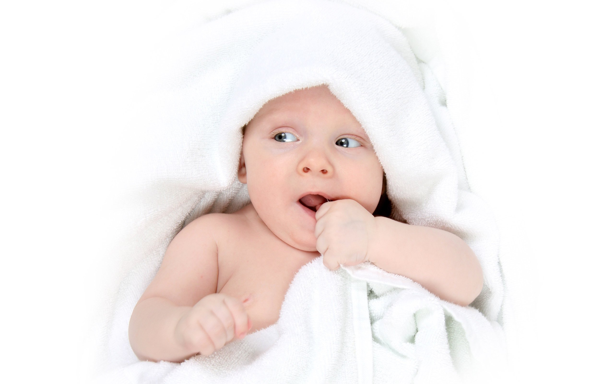银川供卵公司机构2016试管婴儿成功率